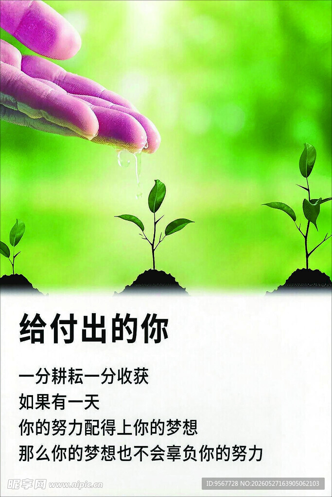 给付出的你