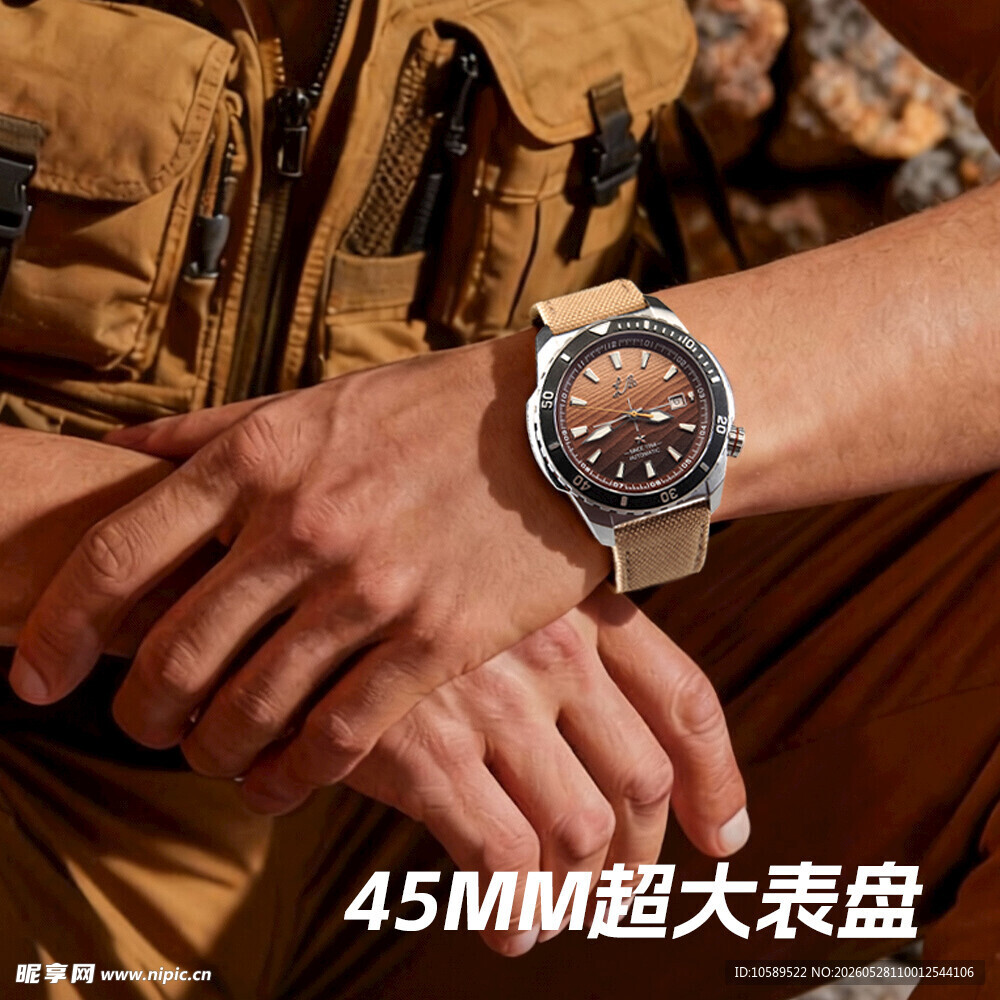 沙漠 腕表 机械 表带 表盘 