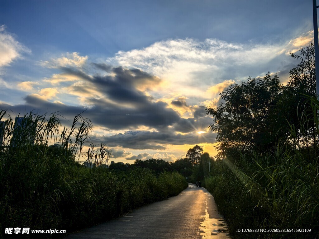 夕阳下的林间小路