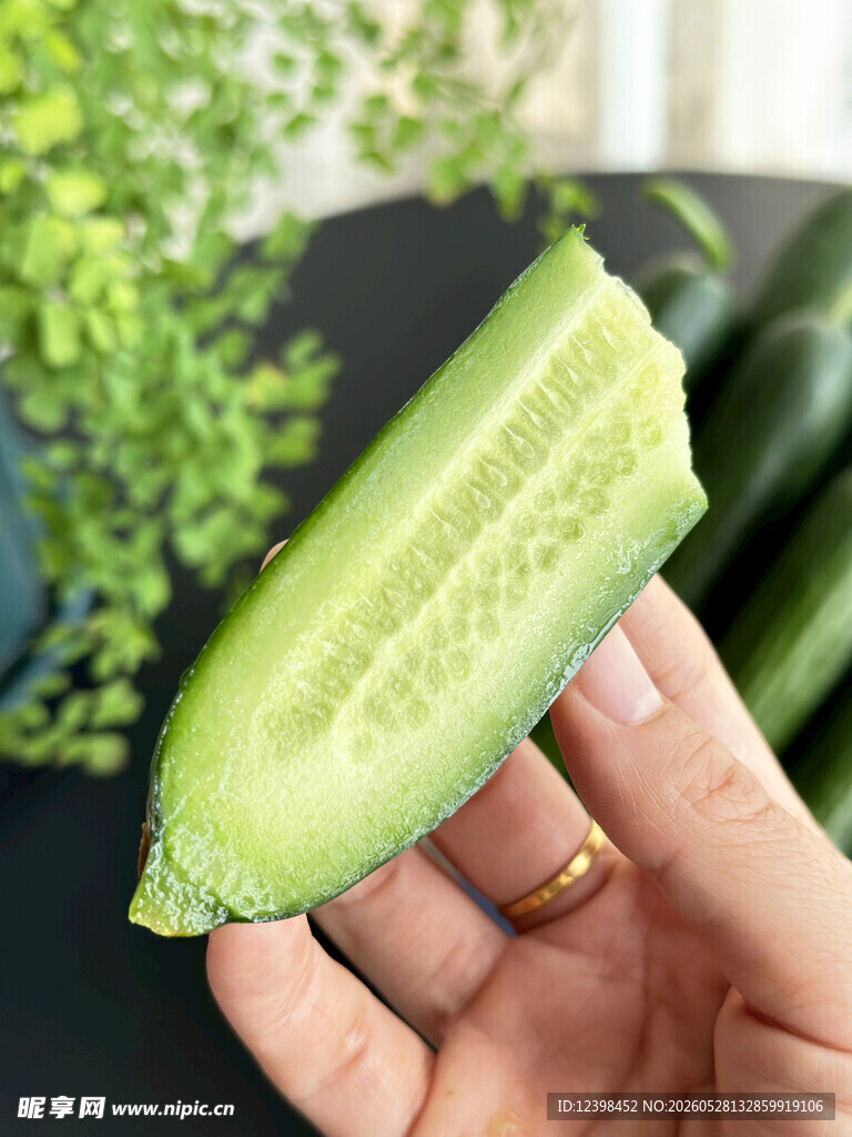 手持鲜切翠绿黄瓜