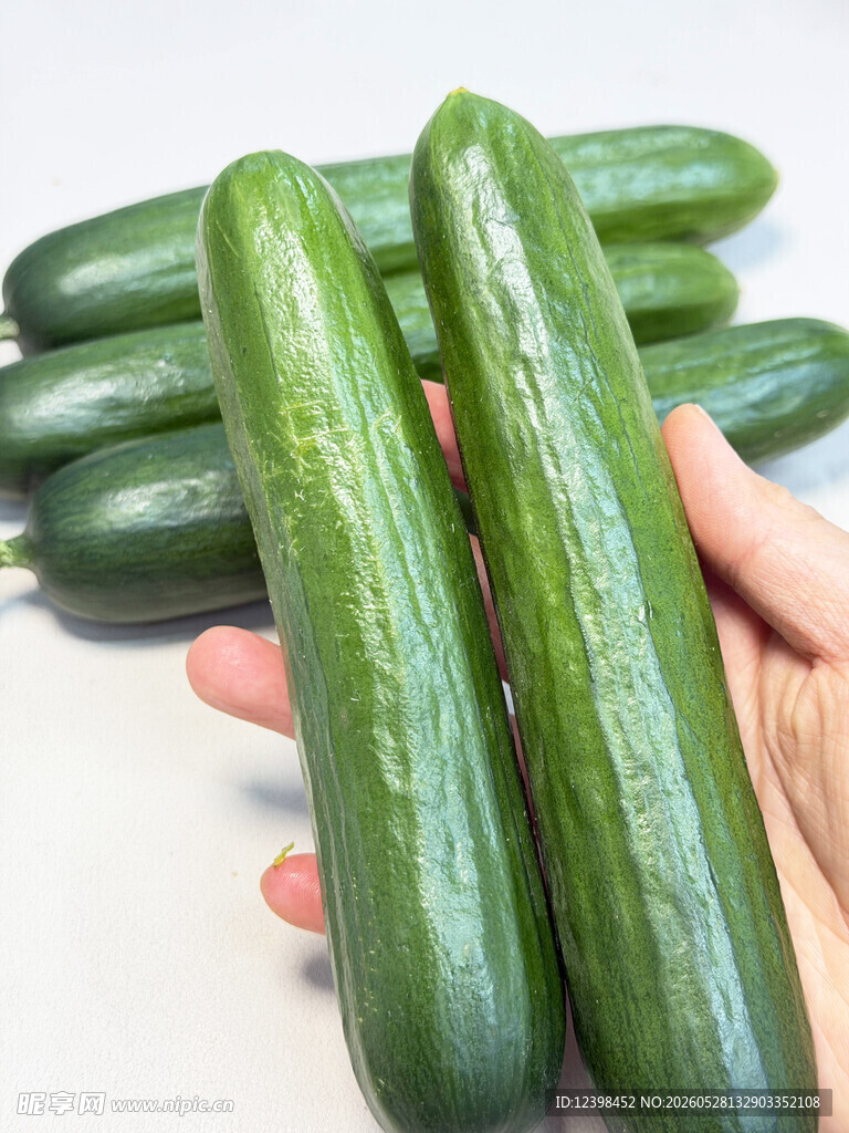 手捧鲜嫩翠绿的新鲜黄瓜