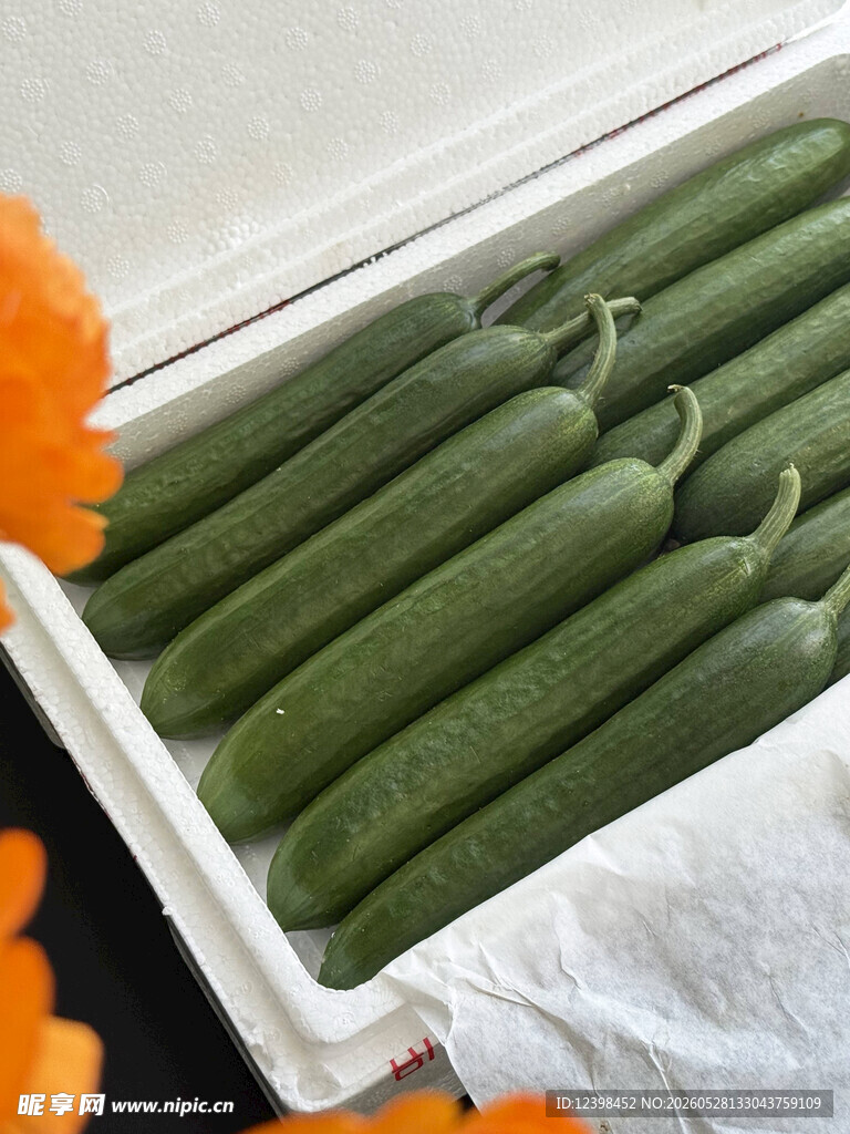 新鲜翠绿秋葵整齐摆放