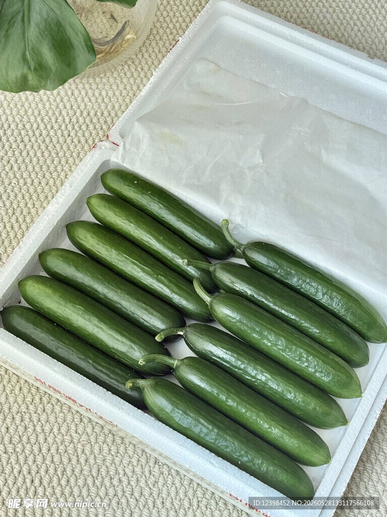 盒装新鲜翠绿黄瓜