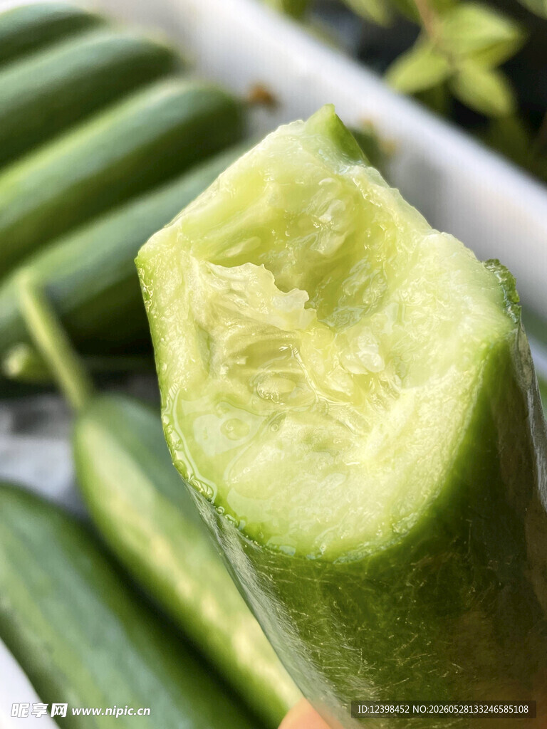 新鲜切开的翠绿小黄瓜