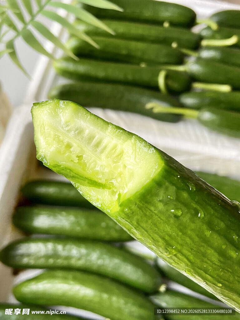 新鲜翠绿黄瓜特写