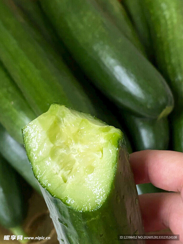 新鲜翠绿的黄瓜切面特写