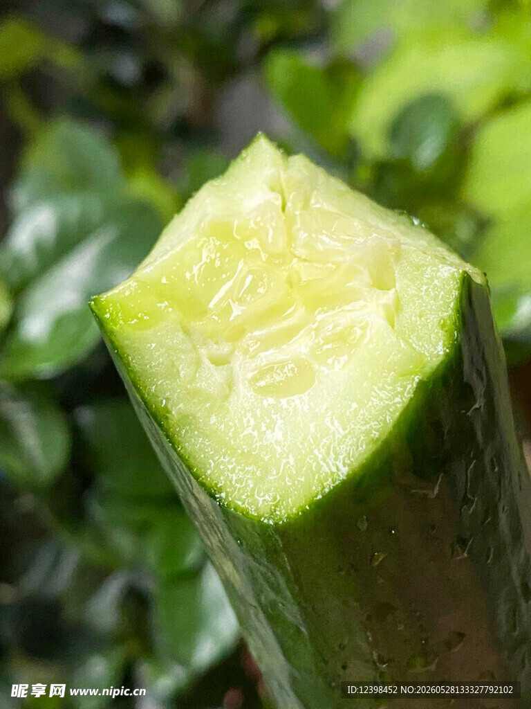 切开的鲜嫩绿色黄瓜
