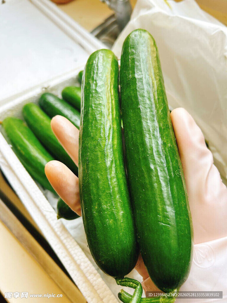 黄瓜