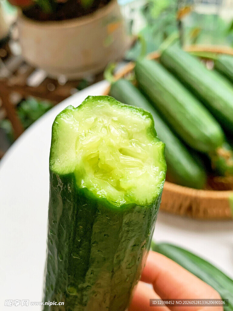 新鲜翠绿的一节黄瓜