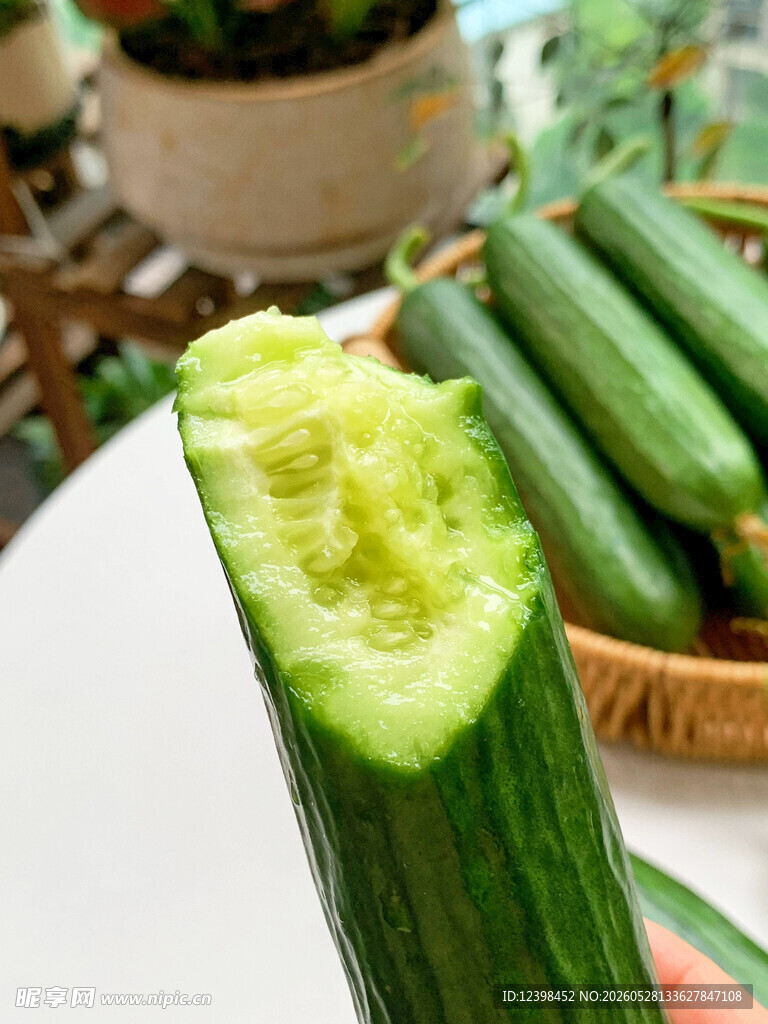 新鲜脆嫩的切开黄瓜