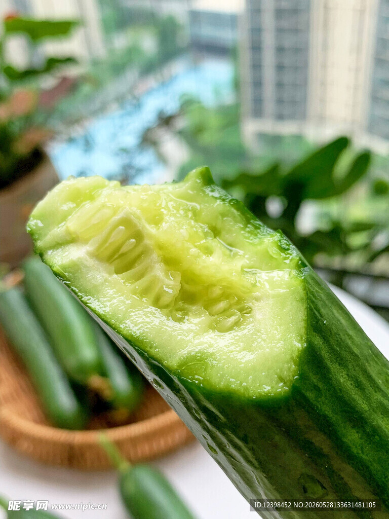 黄瓜