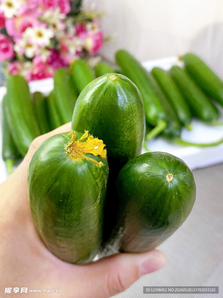 黄瓜