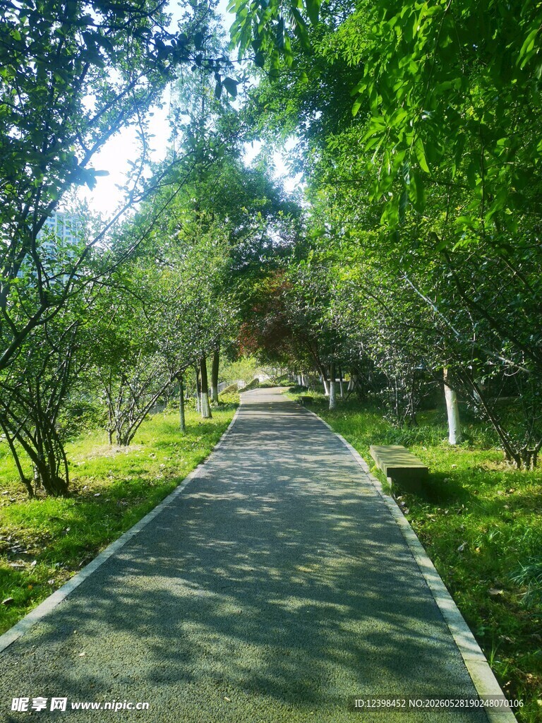 林间幽静小路
