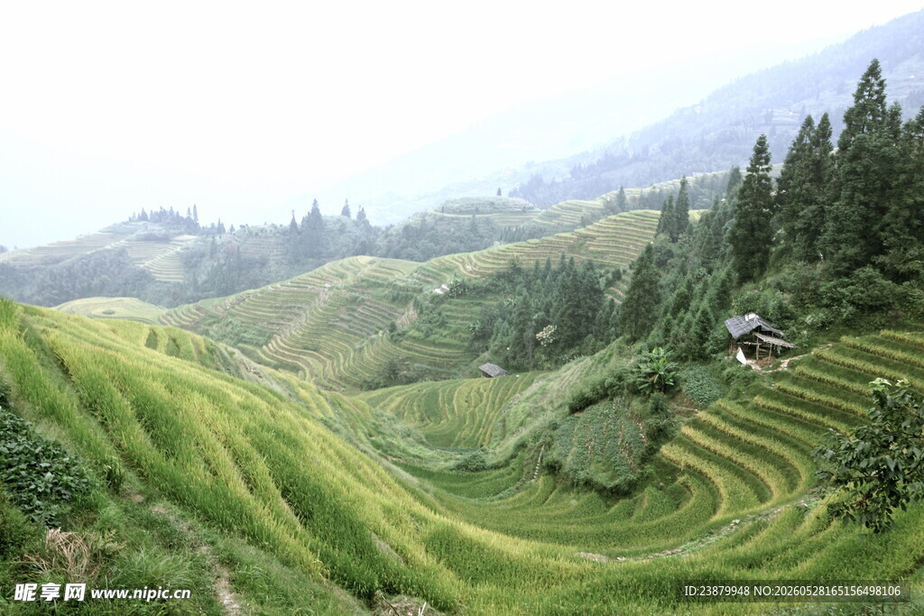 翠绿梯田山间田园美景
