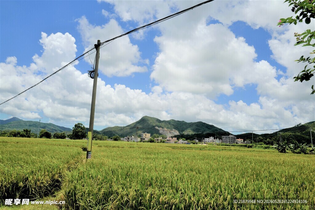 田园风光中的田野与远山