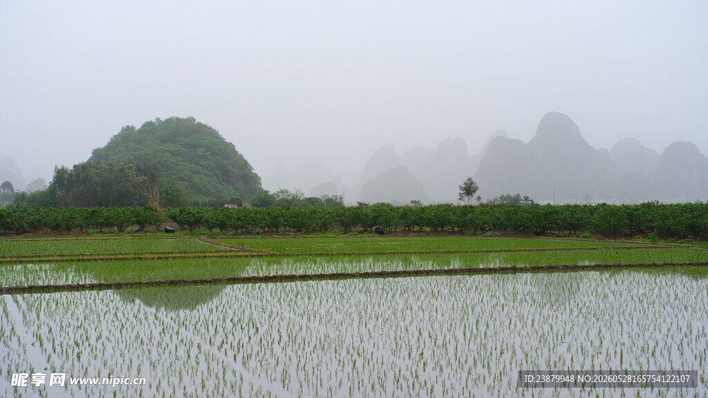 雾中稻田与远山美景