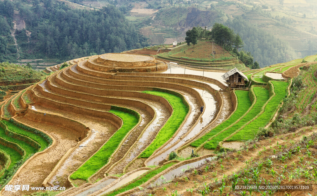 美丽梯田景观