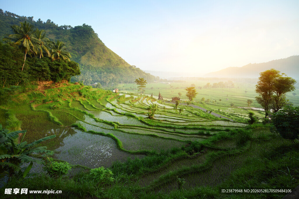 田园风光中的梯田美景