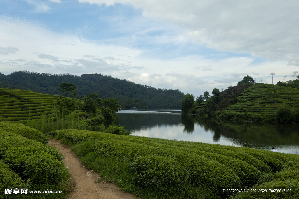 山间茶园小径与湖泊美景