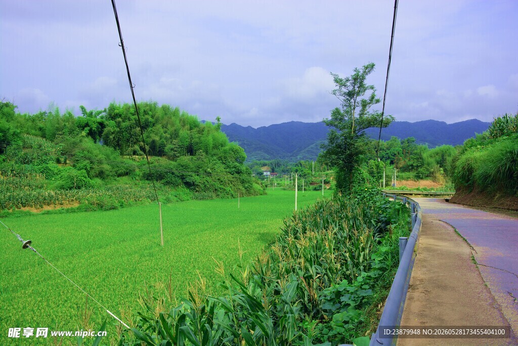 乡村田园风景小路