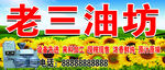老三油坊 向日葵