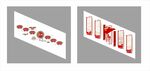 党建楼梯文化墙  