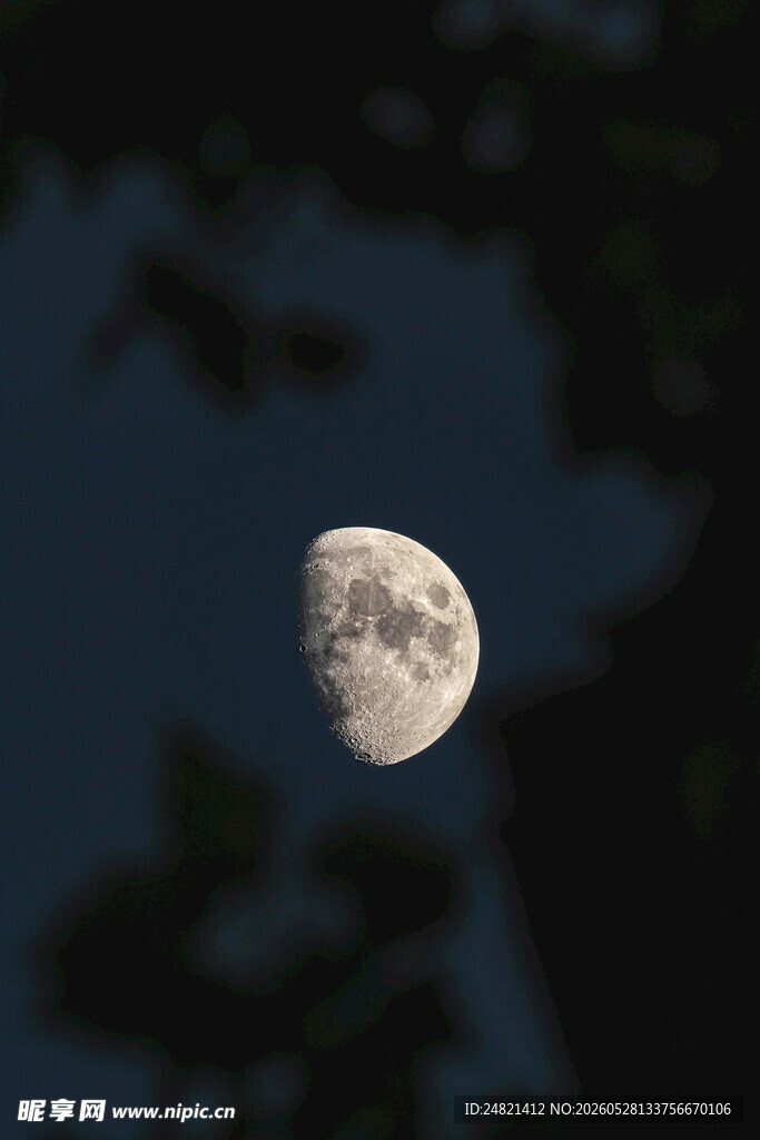 夜空下的半轮明月