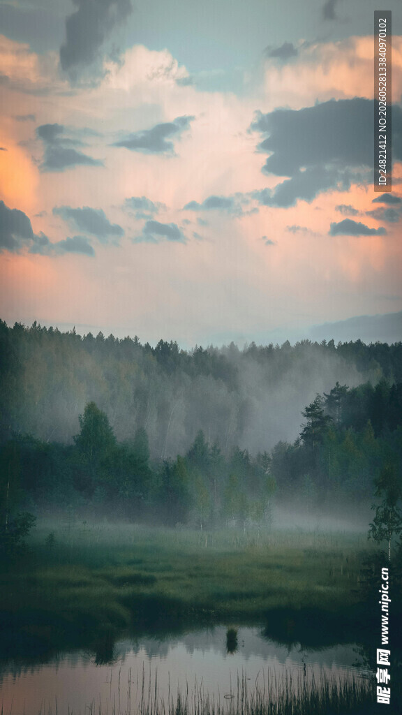 晨雾中的森林湖泊美景