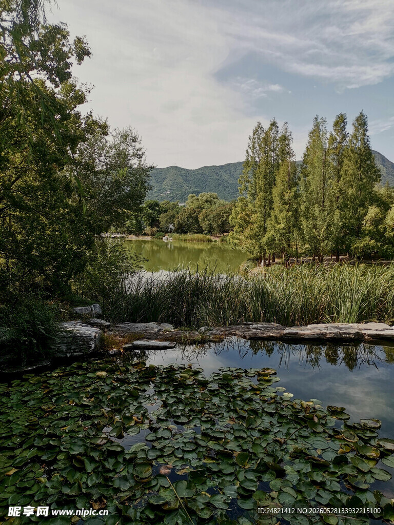 宁静湖畔的自然美景