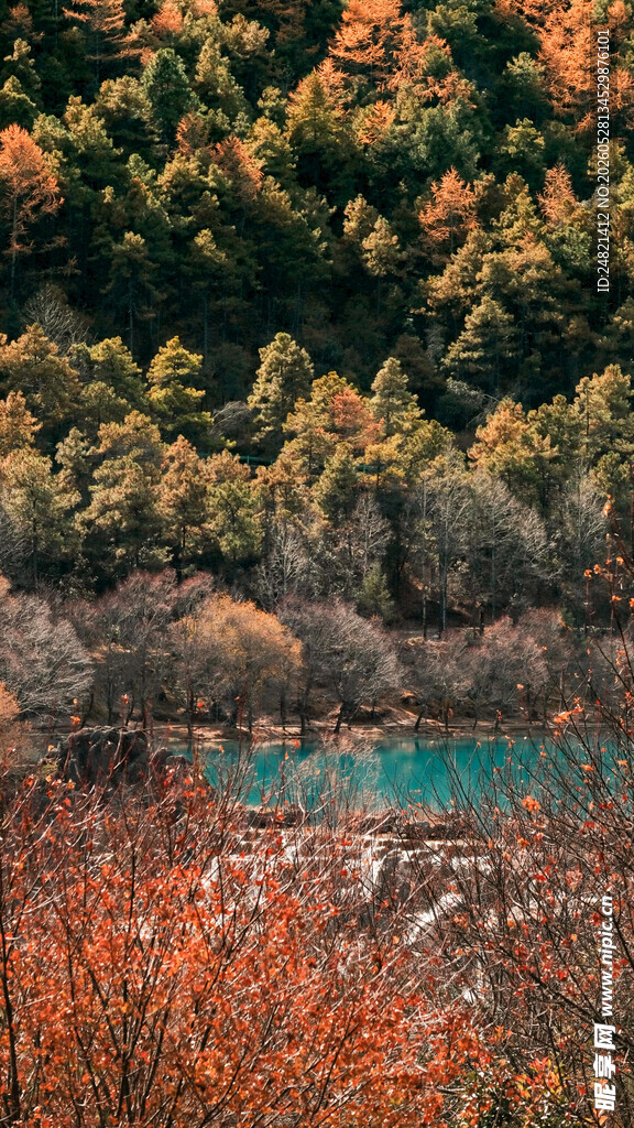 秋日山林湖畔绚丽风光