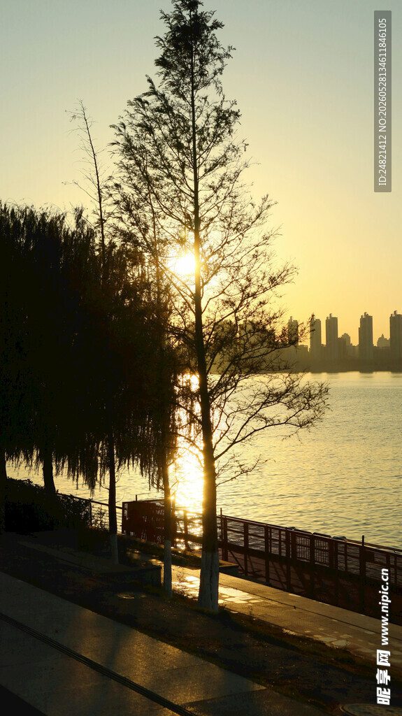 夕阳下湖畔树木与城市景观