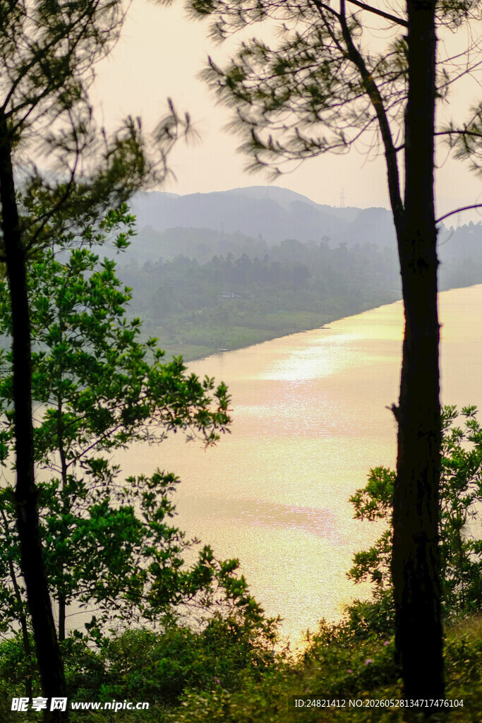 林间湖畔的静谧黄昏景色