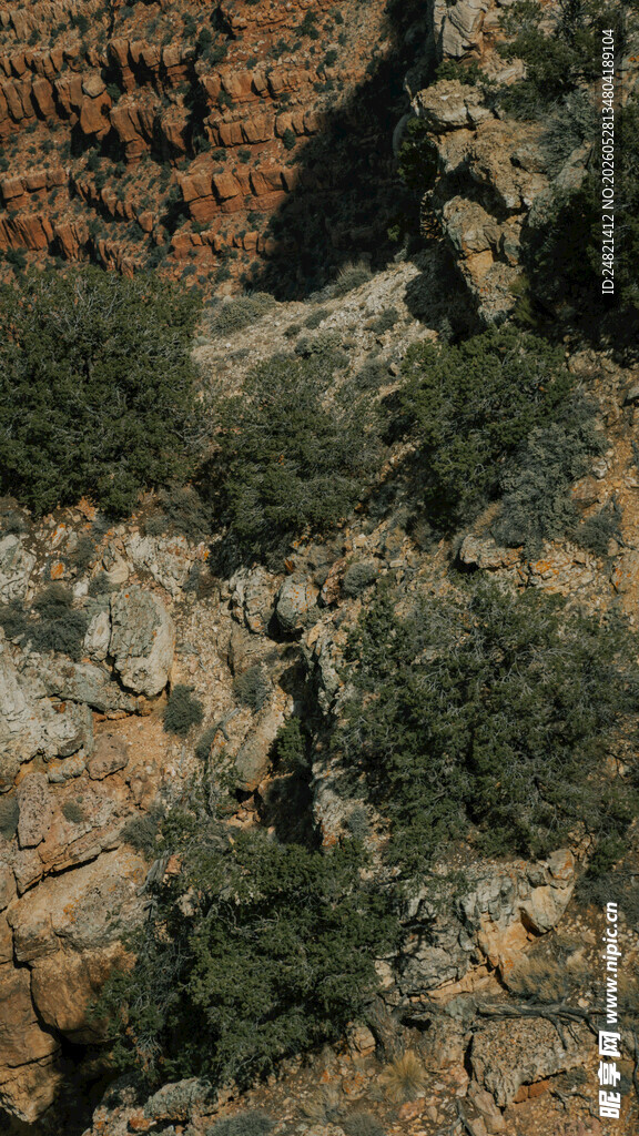 峡谷中的绿植景观