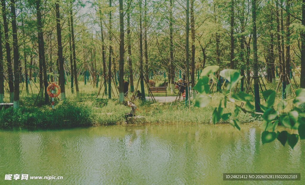 湖畔森林美景