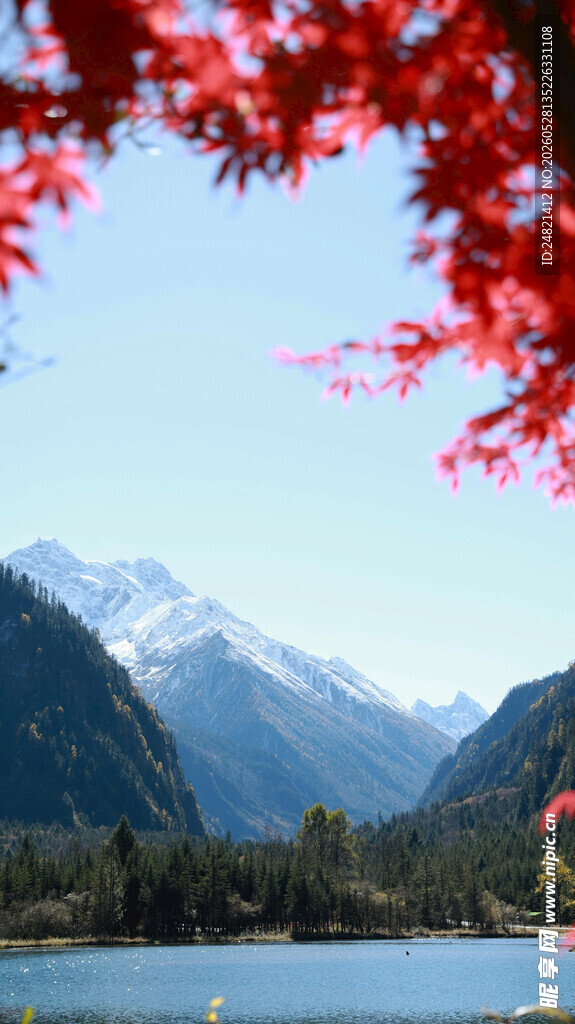 红叶映湖光山色美景