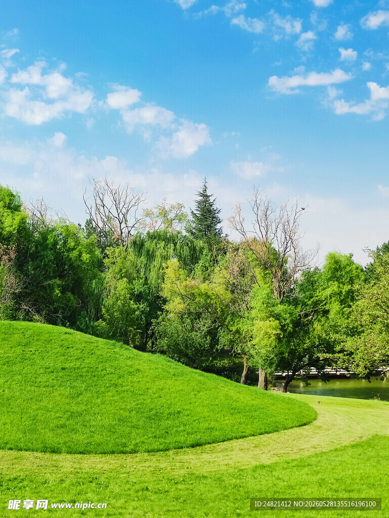 绿意盎然的户外公园美景