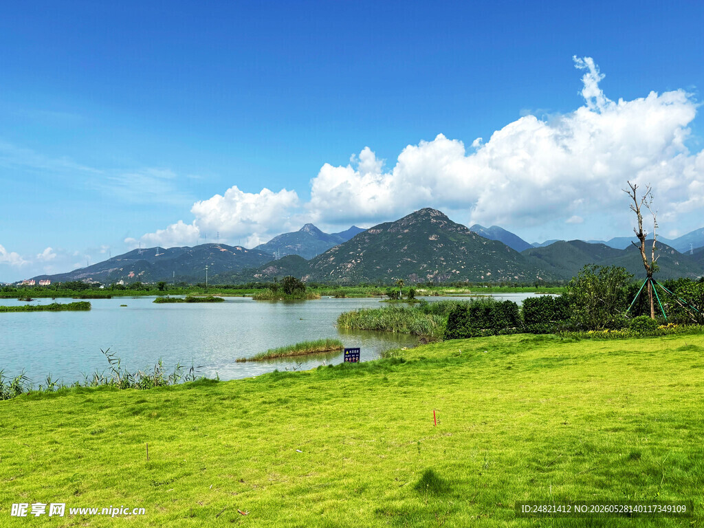 湖畔绿野