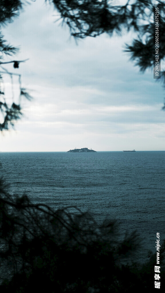 透过枝叶望海面小岛