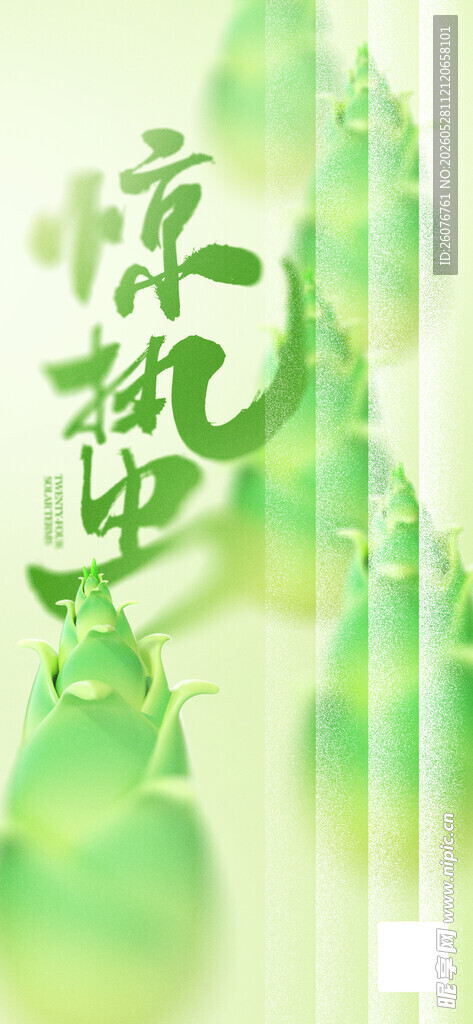 惊蛰海报 
