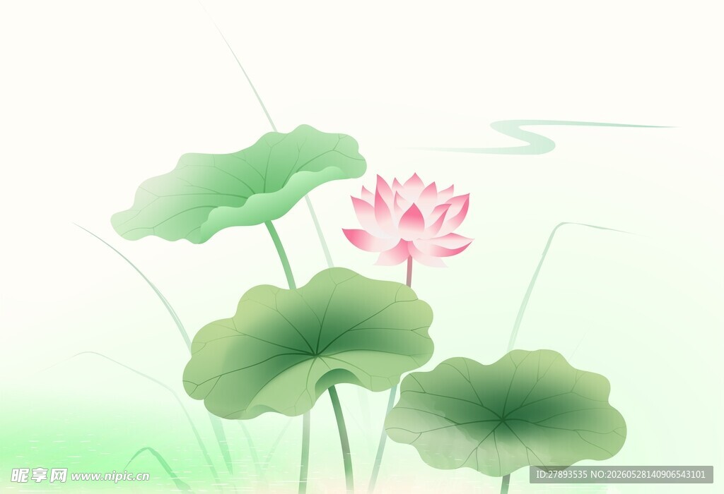清新荷花背景