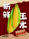 玉米海报