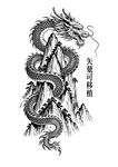 中式龙盘山峰图腾