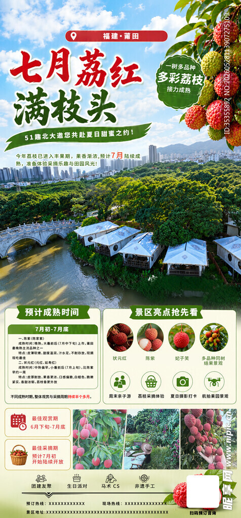 七月荔枝采摘活动手机海报