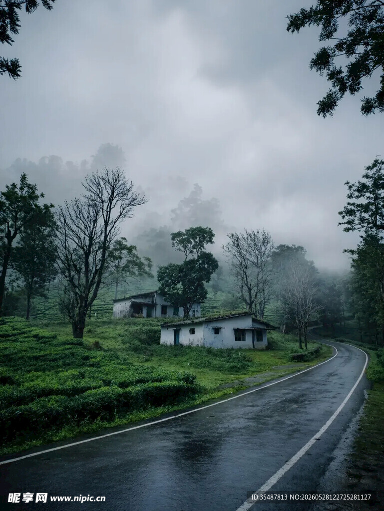 雨雾中的乡村公路风景