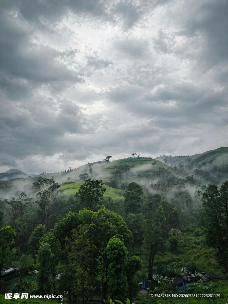 山间云雾缭绕的翠绿景致