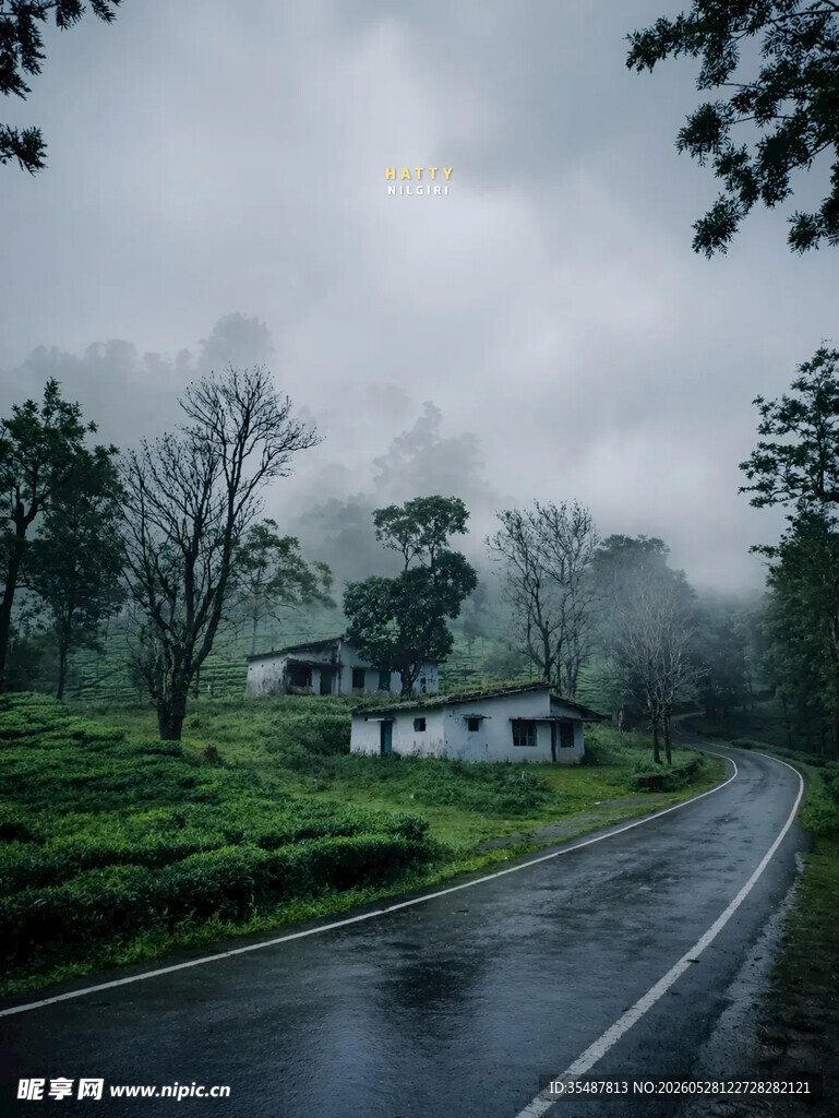雨中乡村公路静谧美景