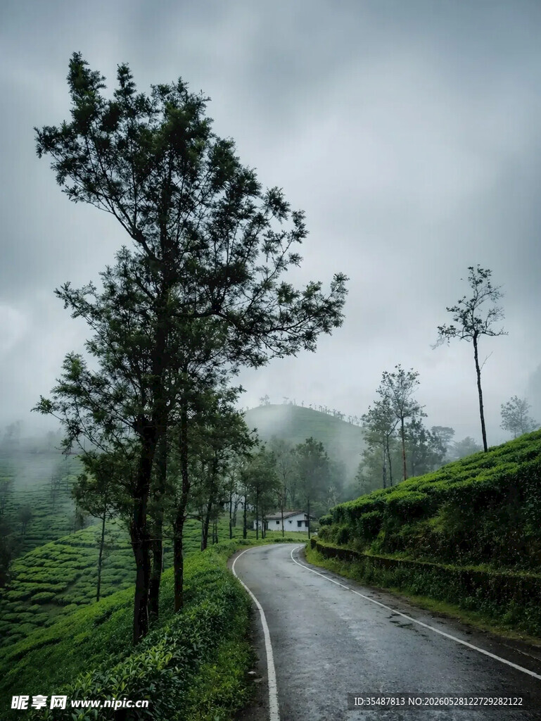 山间雾中蜿蜒的静谧小路