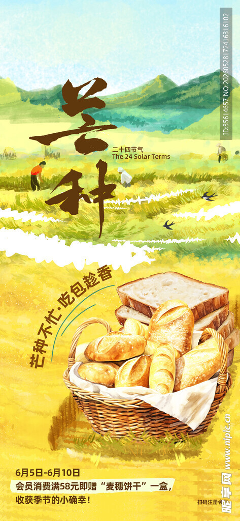 芒种海报