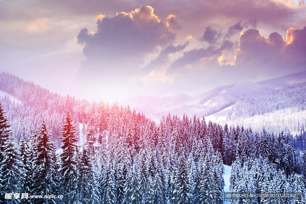 冬日山林雪景阳光初照