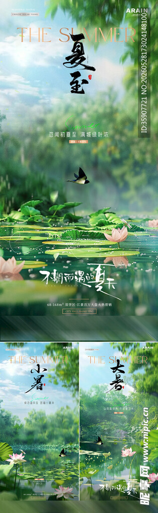 夏至小暑大暑荷塘风景海报